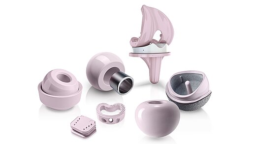 Orthopaedic products of the Biolox brand
