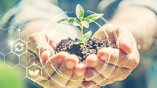 Hands holding a small plant with soil