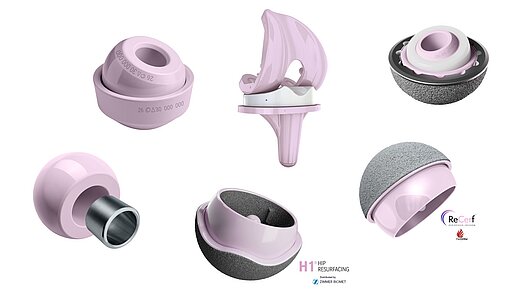 Orthopaedic products of the Biolox brand